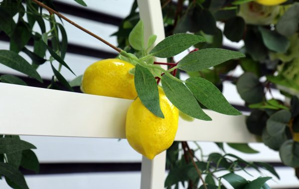 Lemon wedding decoration